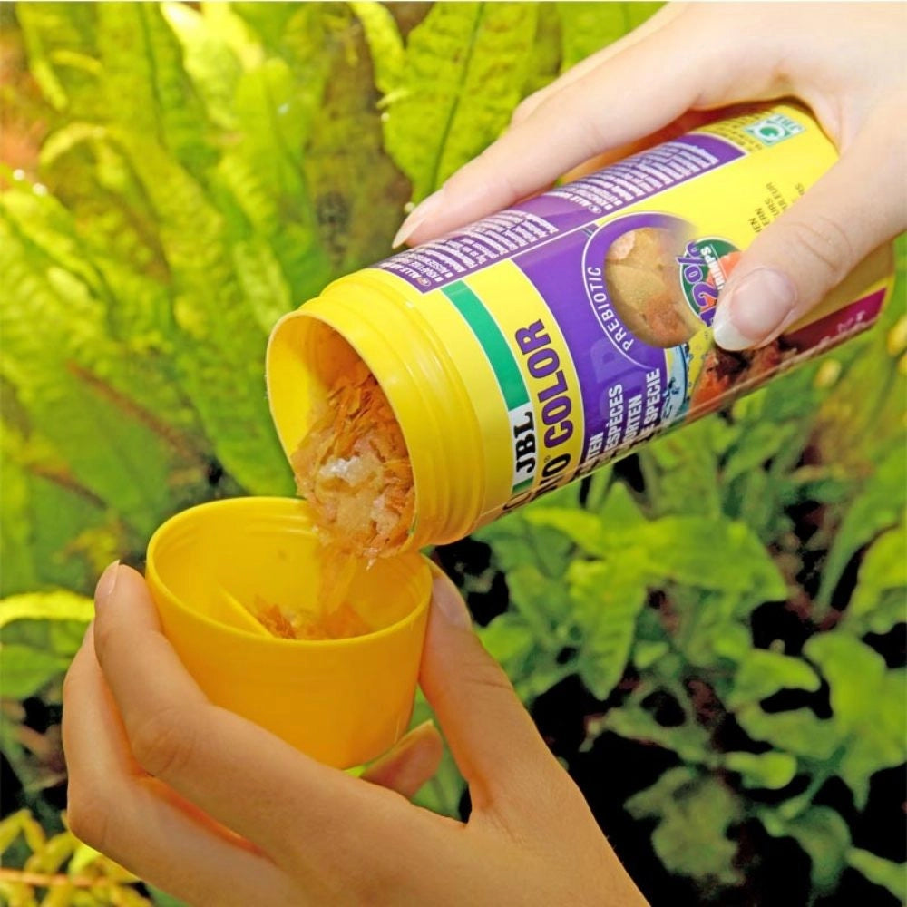 JBL ProNovo Color Flakes M - fioccato per colori brillanti per tutti i pesci tropicali da 8 a 20cm Formato: 250 ml