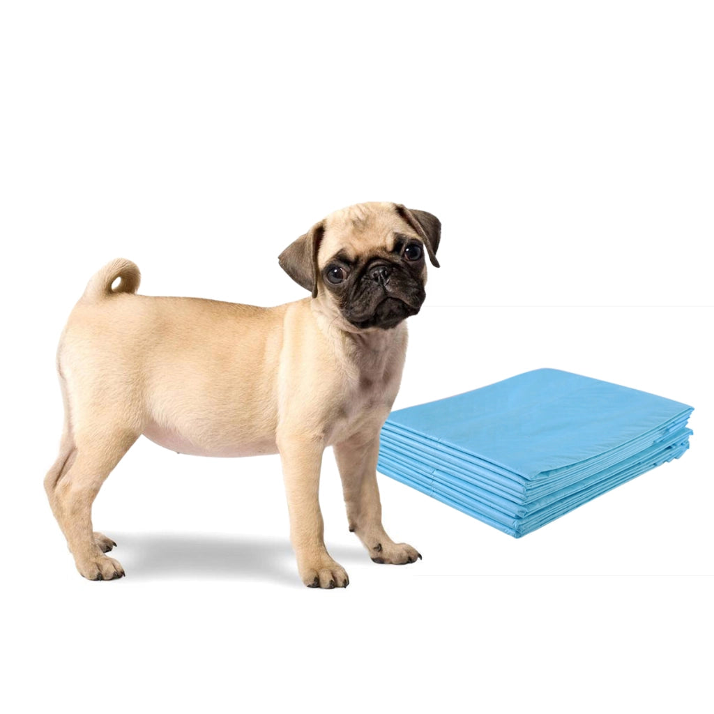 Traverse usa e getta con controllo odore, Traverse per cani gatti conigli con asciugatura rapida 60 x 60 cm-Giochi e accessori per cani