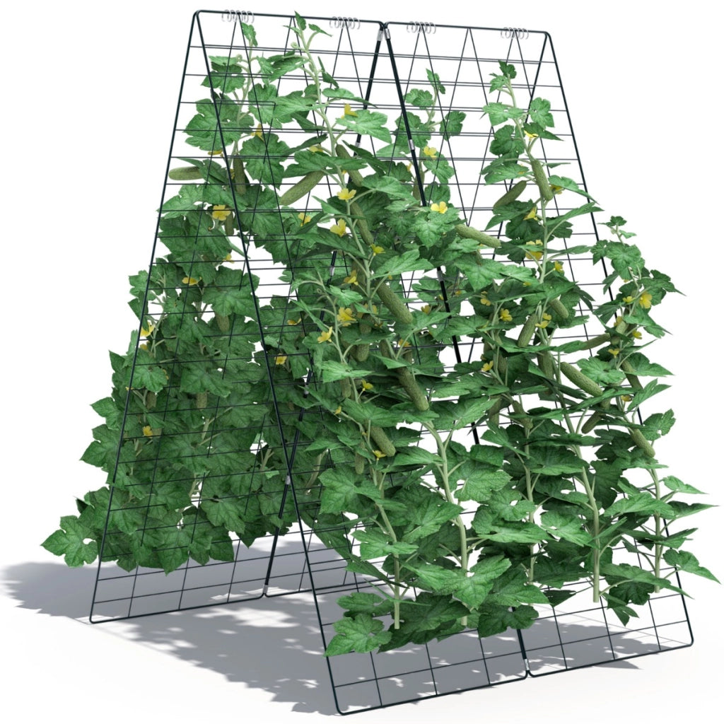 Graticolato a 2 pezzi per cetrioli a forma di A con paletti, Supporto per piante rampicanti verdura frutta Verde-Scaffali per piante