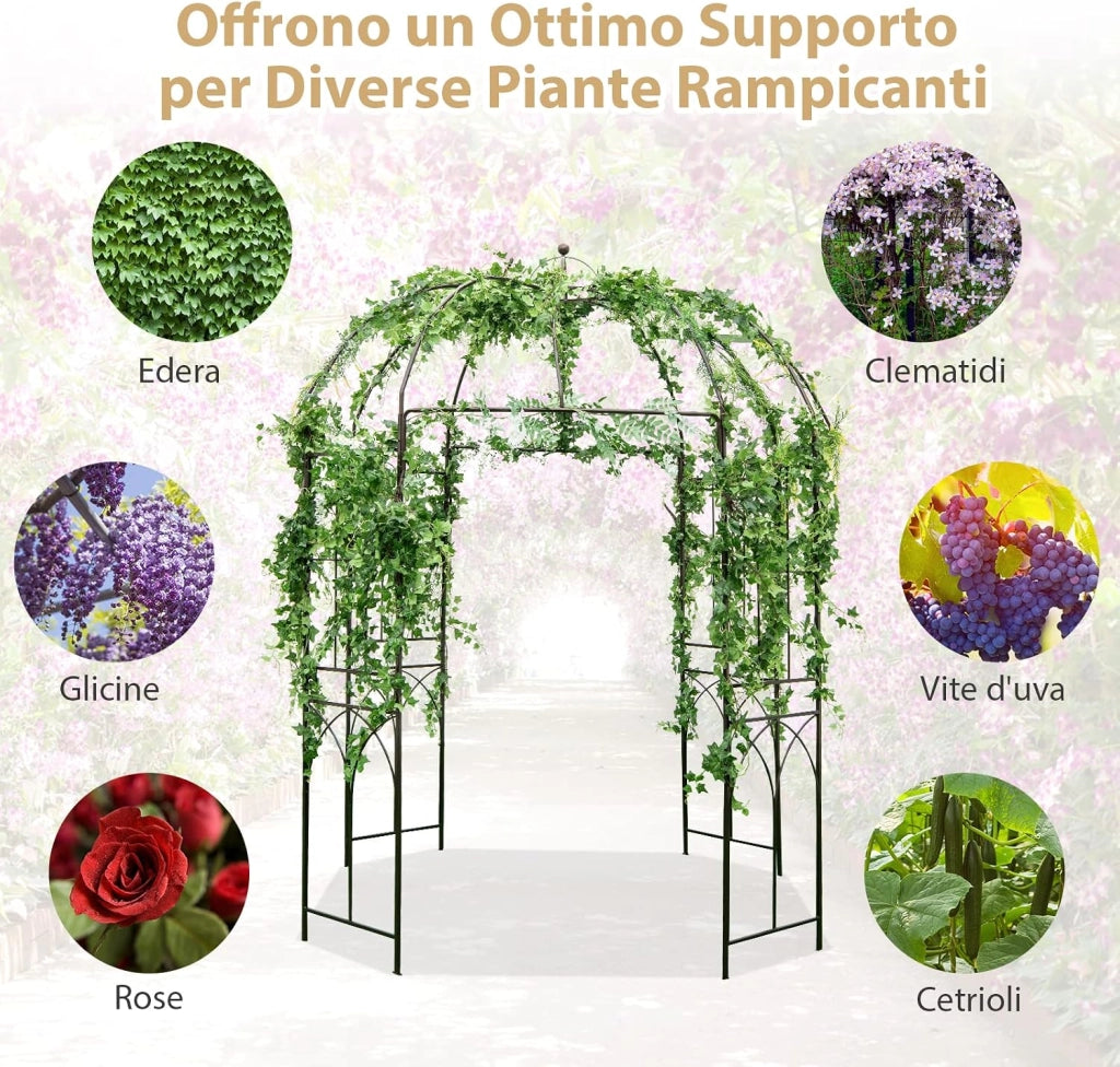 Pergola da Giardino a Forma di Gabbia d’Uccello, Pergole ad Arco in Metallo per Piante Rampicanti, Ideale per Matrimoni, Feste e Cerimonie, 211 x 211 x 256 cm