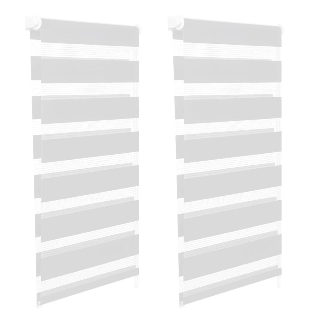 IDMarket - Set di 2 tende a rullo, giorno e notte, 40x170 cm, bianco