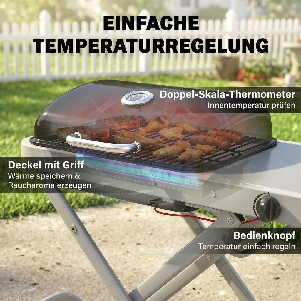 Grill a Gas Portatile 1 Bruciatore 2,5kW ¨C Minimal ¨C Grigio