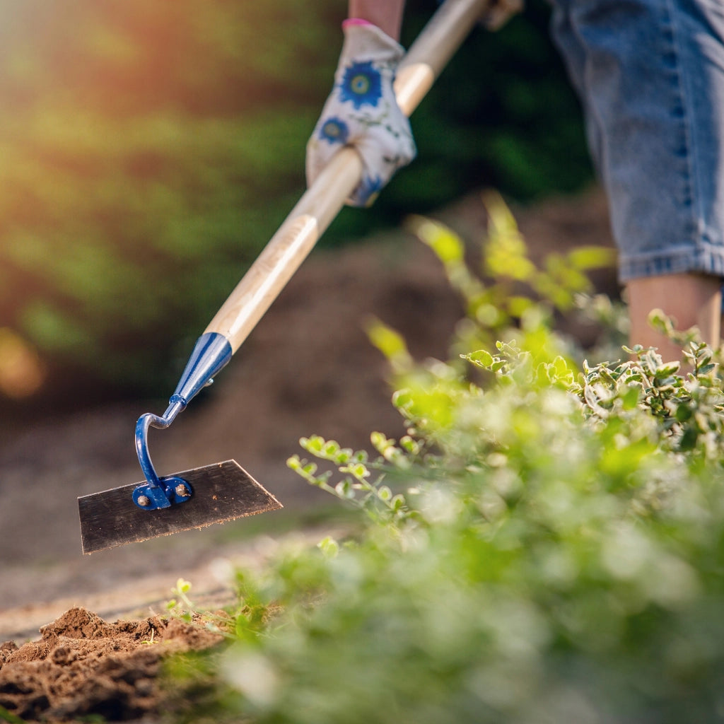Gancio per zappa da giardino KADAX, 16 cm, per estirpare le erbacce, con manico in legno.