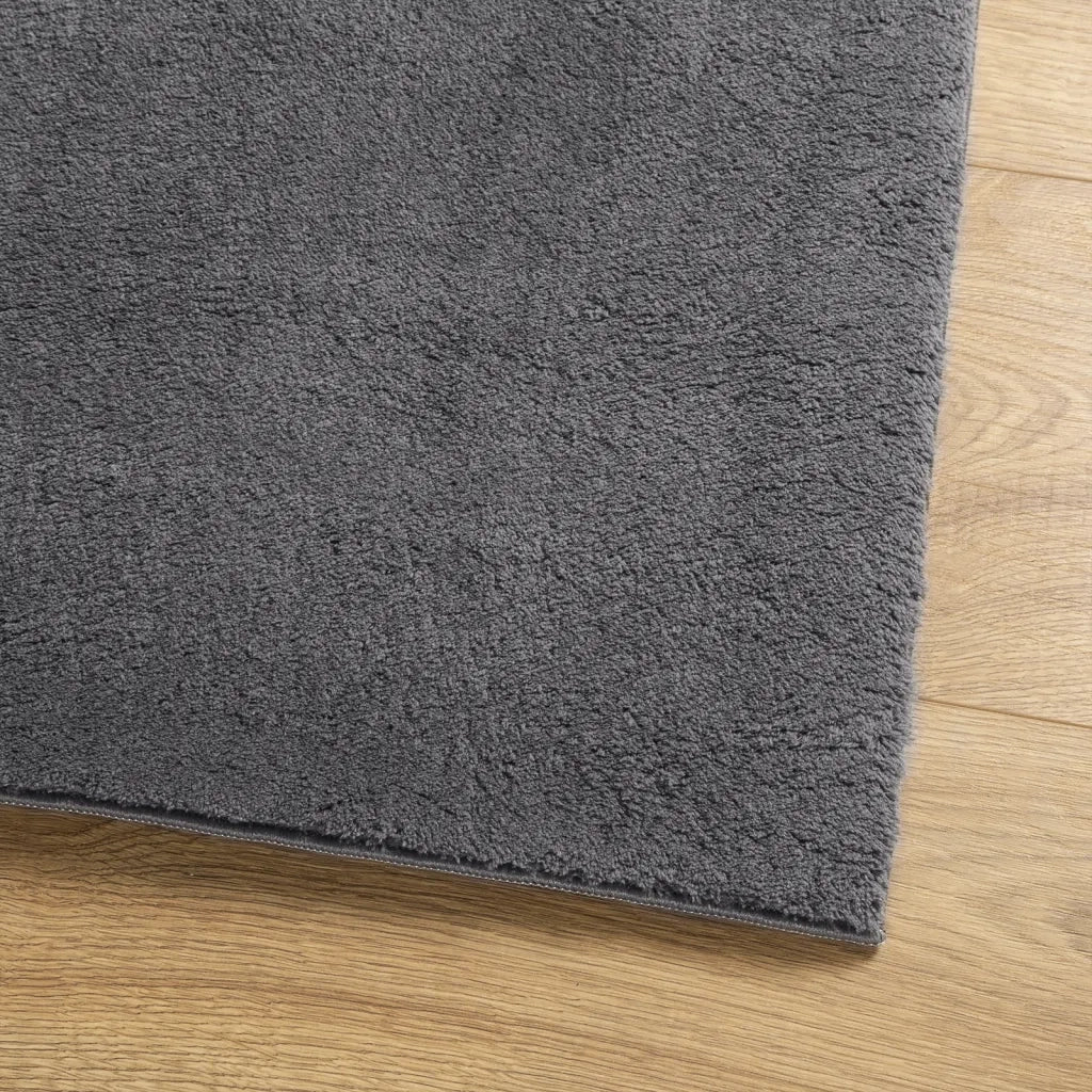 Tappeto a Pelo Corto HUARTE Morbido Lavabile Antracite 80x150cm 374995