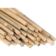 C CANNA BAMBOO NATURALE 150 CM-D.22/24 MM- C LINE GARDEN- 25,0 pz