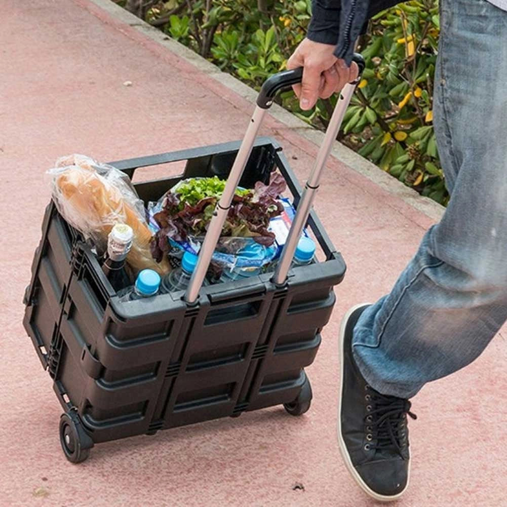 Carrello Trolley Multiuso Pieghevole Kinzo 2 Ruote Manico Per Spesa e Campeggio