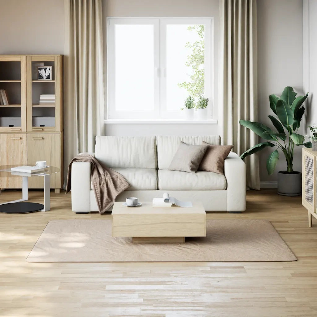 Tappeto Lavabile Soffice Pelo Corto 160x230cm Antiscivolo Beige 342202