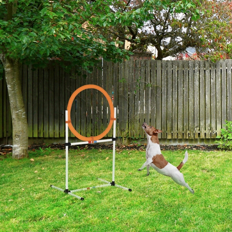 Giochi da arrampicata 2 in 1 con anello removibile per addestramento cani in plastica gialla 74,5 × 66 × 91 cm