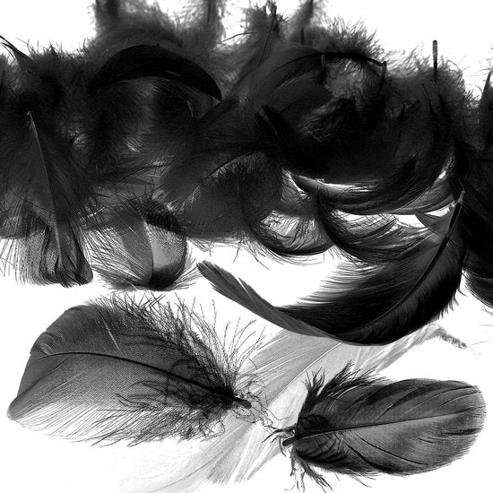 Veri di Vetro Naturale Neri 600 pezzi 5-12cm per Decorazione Festa Natale Decorazioni per Capelli Decorazioni per Festa di Matrimonio Decorazioni per Festa