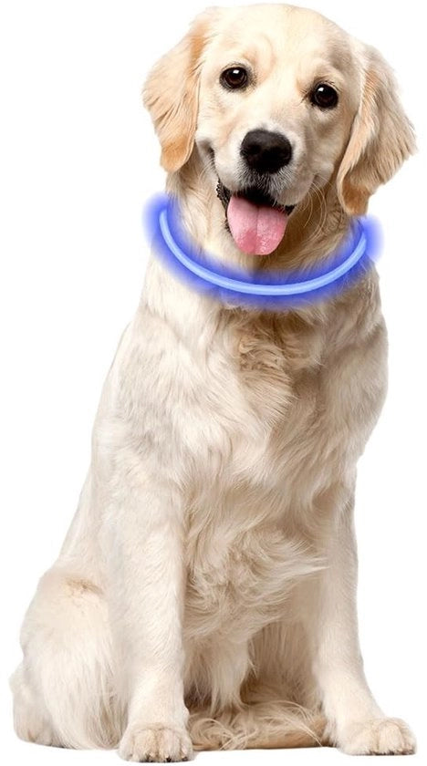 Cinturino per Cani con Fonte di Energia Rinnovabile, 3 Modalità di Illuminazione