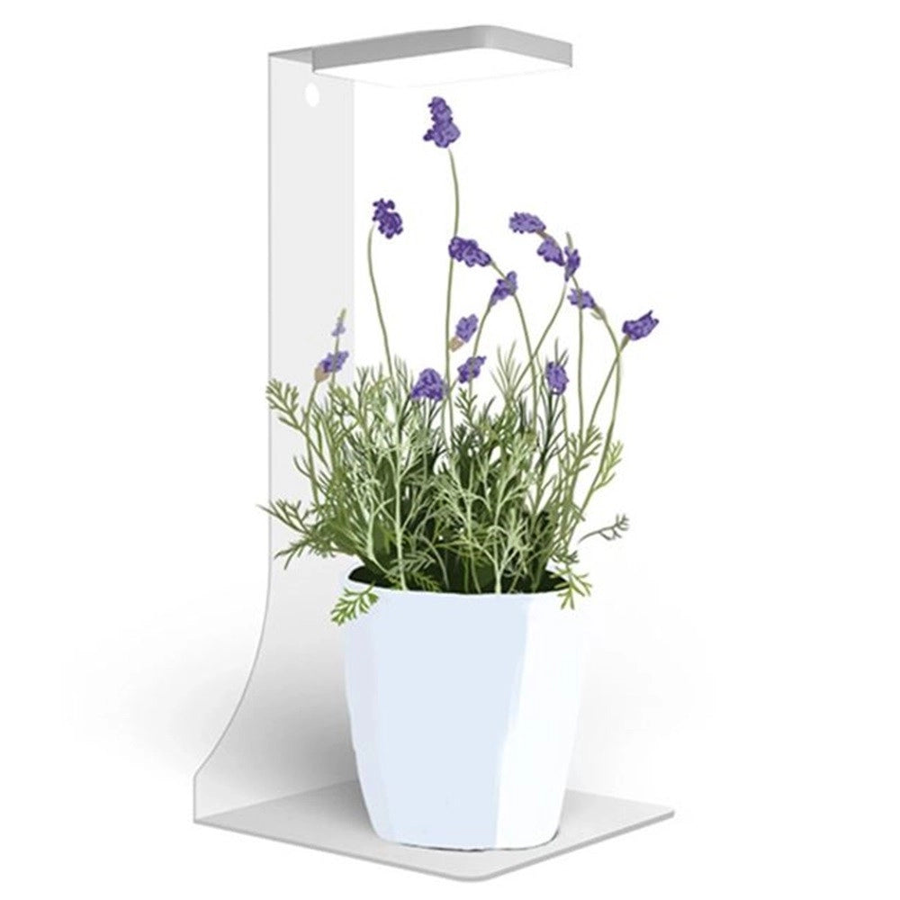 Micmol MAGNETIC LIGHT - LED Smart per Nano Acquari e Terrari