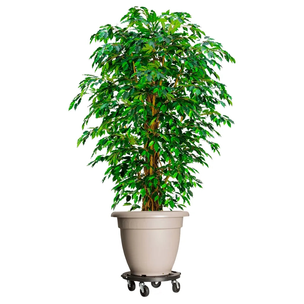 Carrelli per Piante con Ruote 3 pz Diametro 40 cm Neri 275 kg 3143919