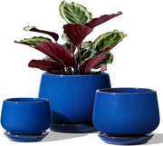 Set di vasi per piante in ceramica - Vasi per fiori con scarico - 3 pezzi - Blu Smeraldo