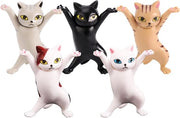 Decorazione per Bureaudecorazione e Regalo Creativo per Donne, Ragazze e Amanti dei Gatti (Set da 5)