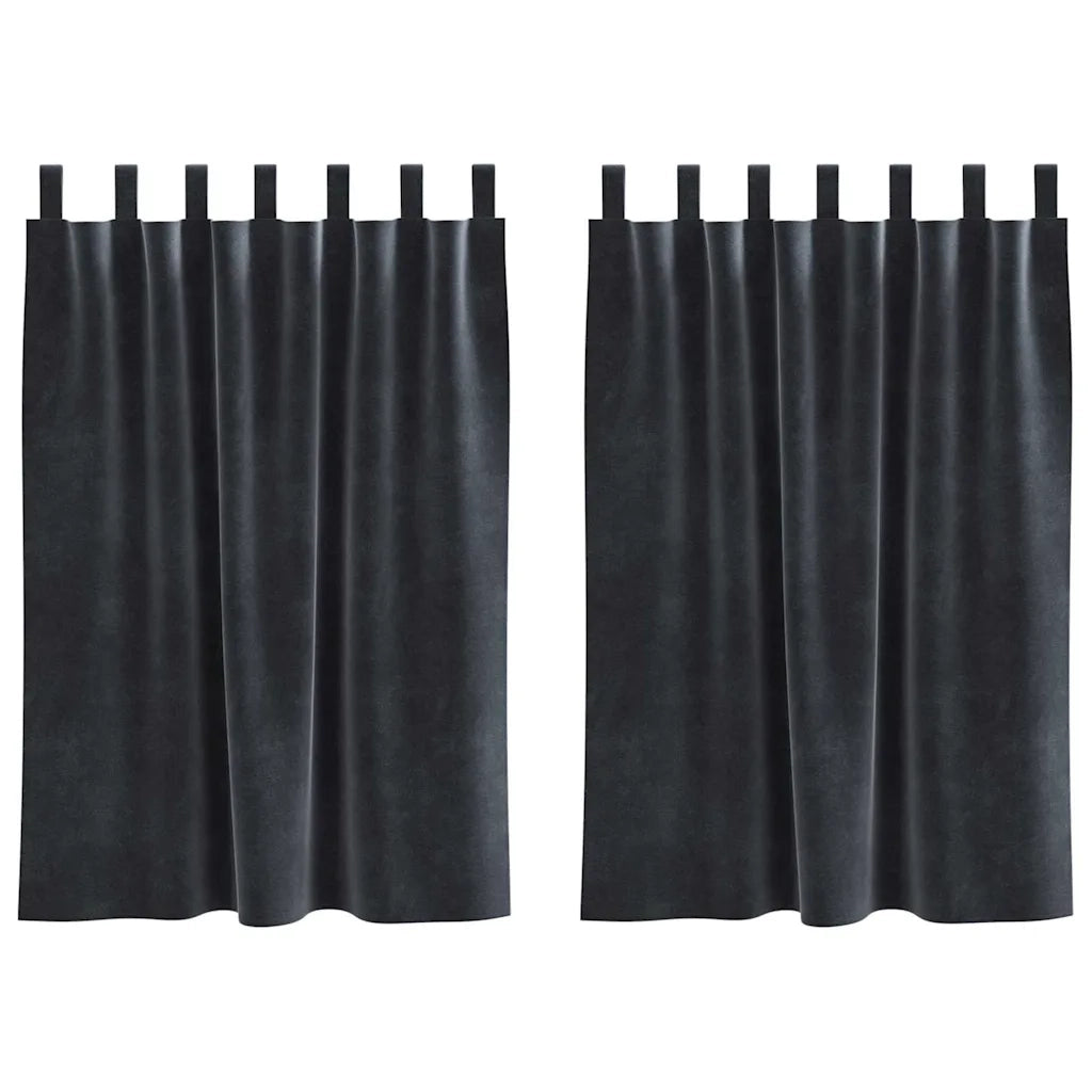 Tende Oscuranti | Tende Blackout 2 pz Grigio scuro 140 x 140 cm Velluto