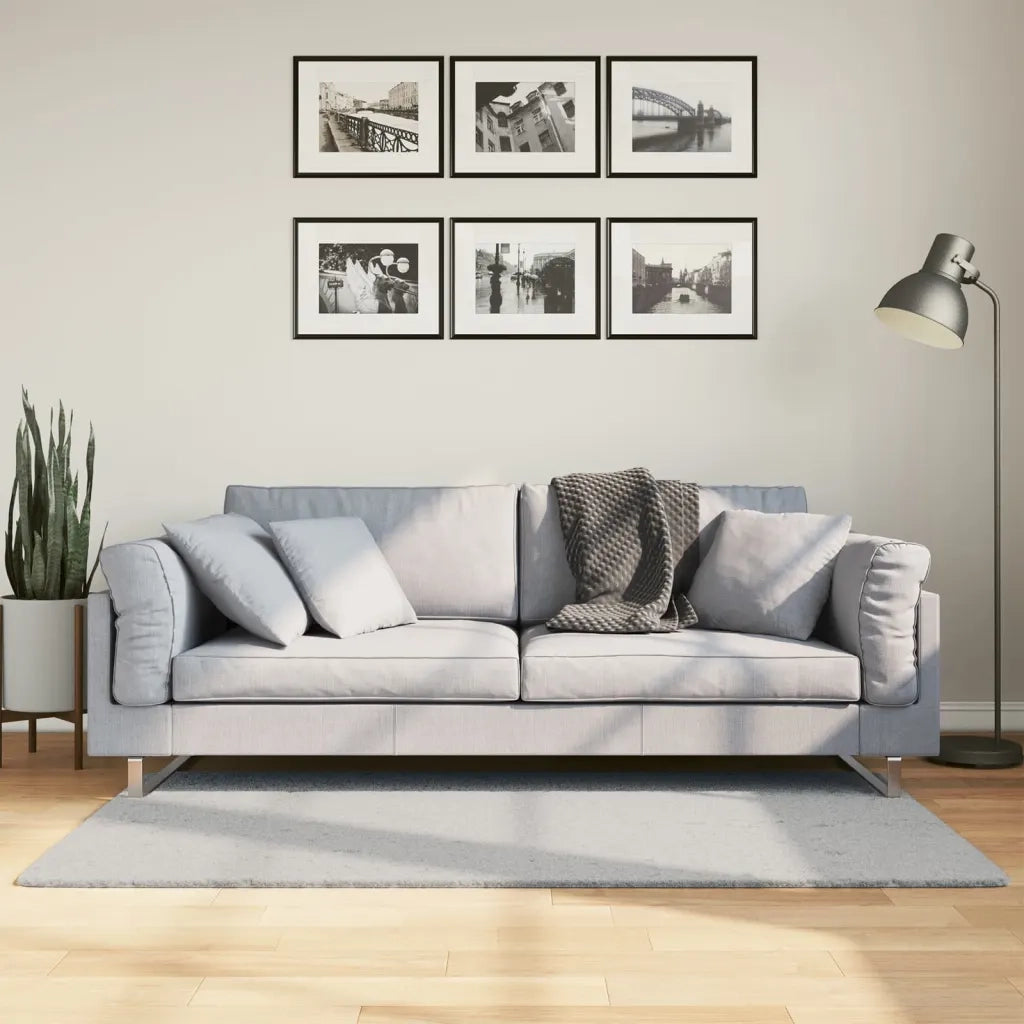 Tappeto del soggiorno | Tappeto a Pelo Corto HUARTE Morbido e Lavabile Grigio 80x150 cm