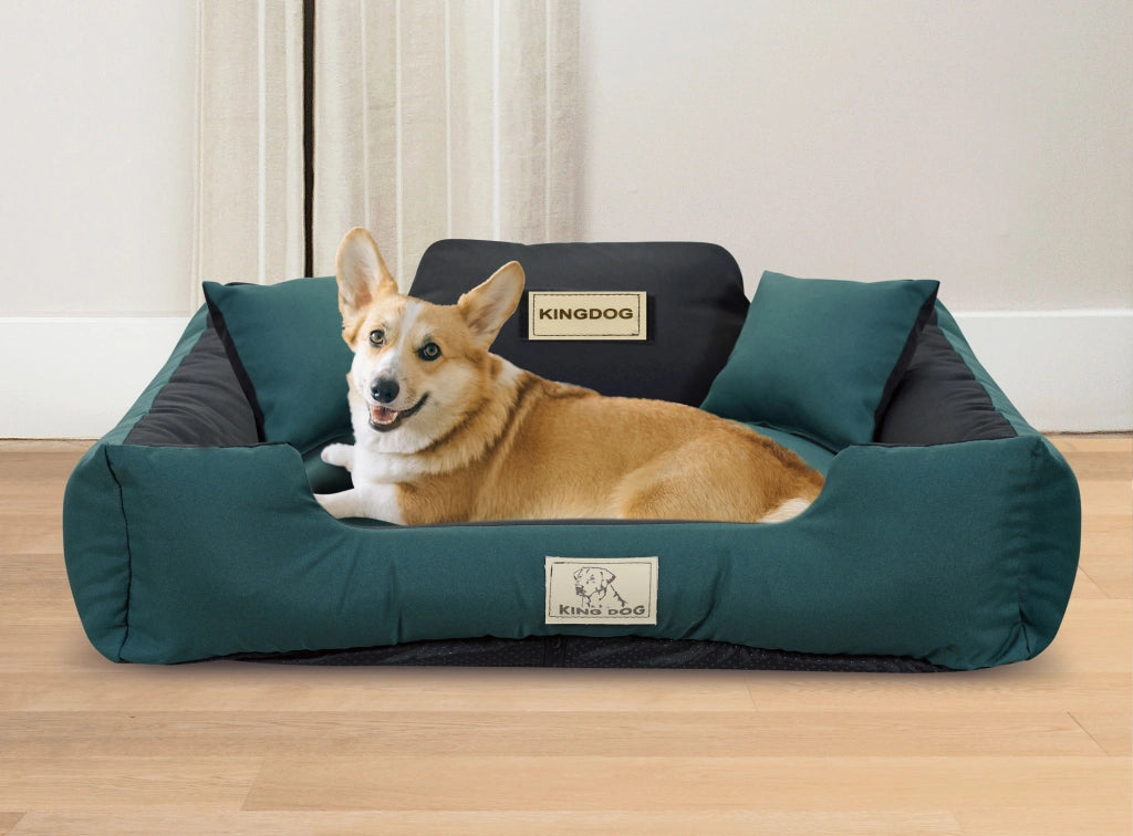AIO FACTORY 100x75 cm KINGDOG MM43 Cuccia per cani personalizzabile Verde