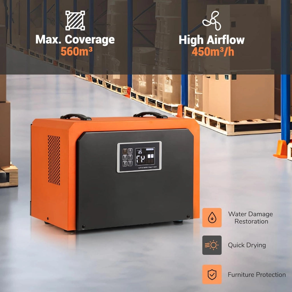 Deumidificatore Elettrico Professionale 750W, 60L/Giorno Max, 450m³/H, con Timer 24 Ore, Filtro Rimovibile e Lavabile, Protezione Alta/Bassa Temperatura, per Cantina, Magazzino, Box Auto