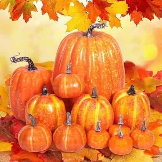 Decorazioni di Zucchero per Autunno - 12 Pezzi di Zucchero in Diversi Formatelli in Plastica