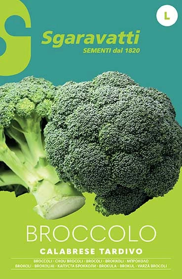 SEMI PER ORTAGGI E VEGETALI broccolo ramoso calabrese tardivo 20 pezzi  - SGARAVATTI