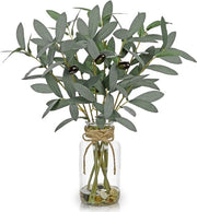 Vaso di vetro con pianta ornamentale - decorazione per ufficio - decorazione per casa - vaso da tavolo per decorazione