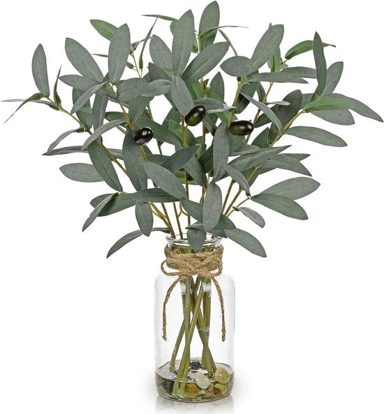 Vaso di vetro con pianta ornamentale - decorazione per ufficio - decorazione per casa - vaso da tavolo per decorazione