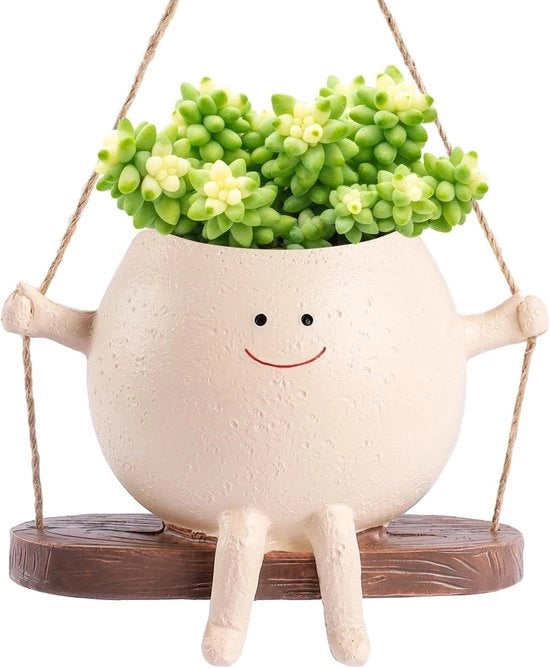 Piantiera - Cassetto per piante Vaso per piante appeso con sospensione per piante - vaso per piante da appendere - piantiera da appendere - decorazioni per interni e esterni