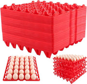 Eierhouder per 20 uova e per frigorifero - piatto di servizio per 30 uova - grande distribuzione per la conservazione, la selezione e la spedizione degli uova (rosso)