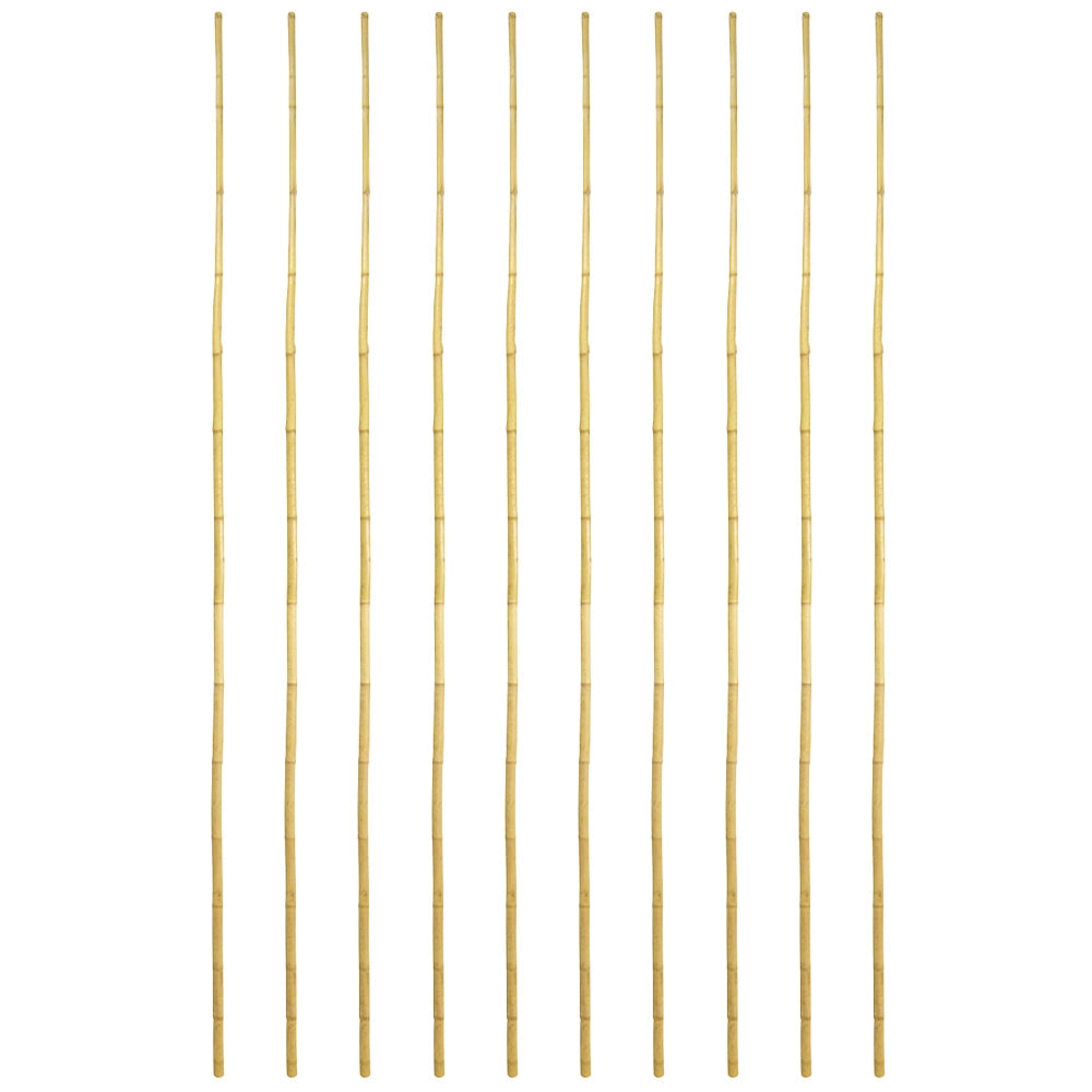 Canne in vero legno di bambu alte 180 cm con diametro di 2,4 cm - Set da 10