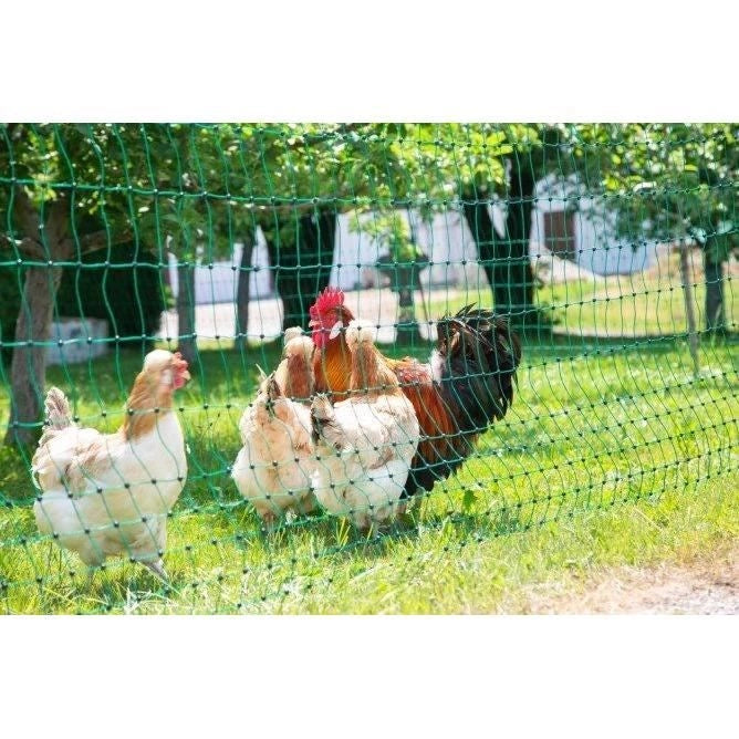Rete per pollame E - KERBL - 25 m - 106 cm - Doppia punta - Verde