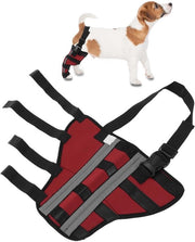 Supporto per ginocchio - Assistenza alla stabilità - Bende per articolazioni - Recupero post intervento chirurgico - Protezione di sicurezza - Dampening shock - Benda per cani