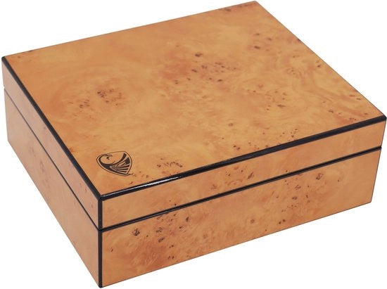 Cassafissa orologio 608