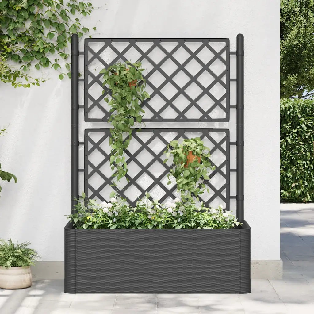 Fioriere | Cassetta per fiori | Letto Rialzato da Giardino Graticcio e Irrigazione Antracite