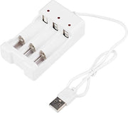 Caricatore portatile per batterie AA AAA 3.6V a tre slot con ingresso USB.
