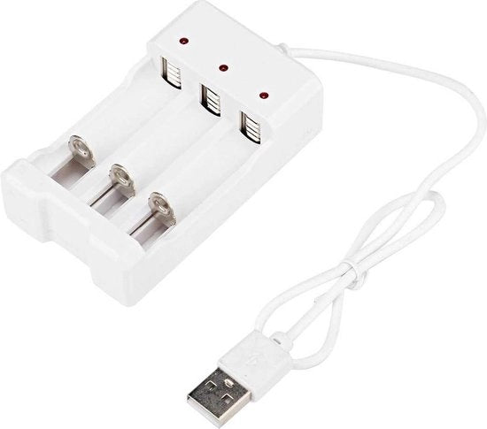 Caricatore portatile per batterie AA AAA 3.6V a tre slot con ingresso USB.