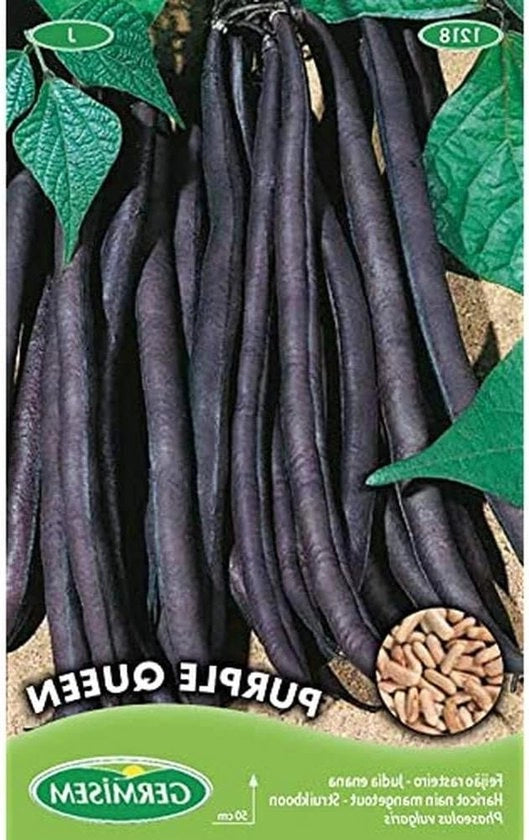Semi di Fagioli azzurri Re Regina 100 g