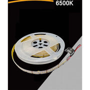 Trade Shop - Strip Striscia Led 5mt Dc 24v Smd 2835 Ip20 90w Luce 3000k 6500k 4000k Dc24v-240 - -bianco Freddo      -