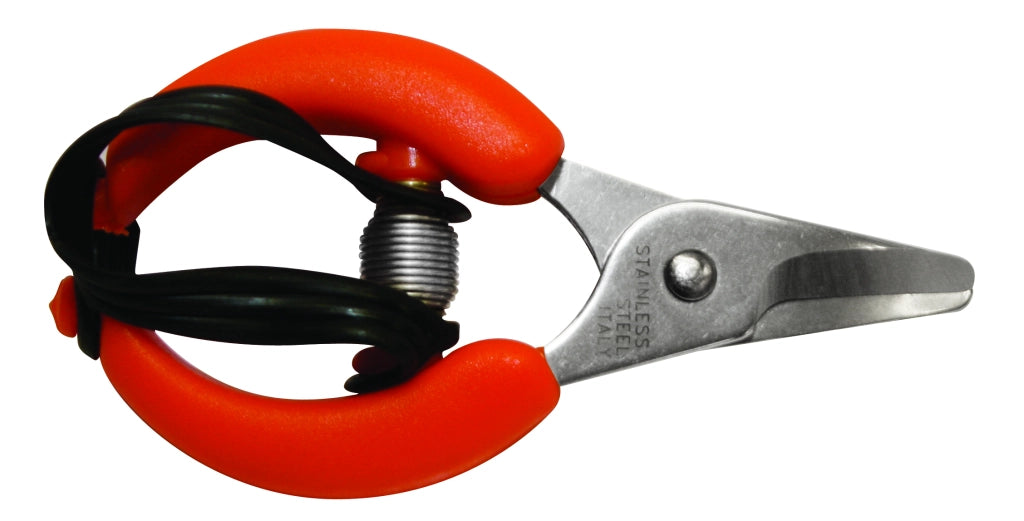 FORBICI P/AGRUMI LAME INOX- ECEF- 6,0 pz