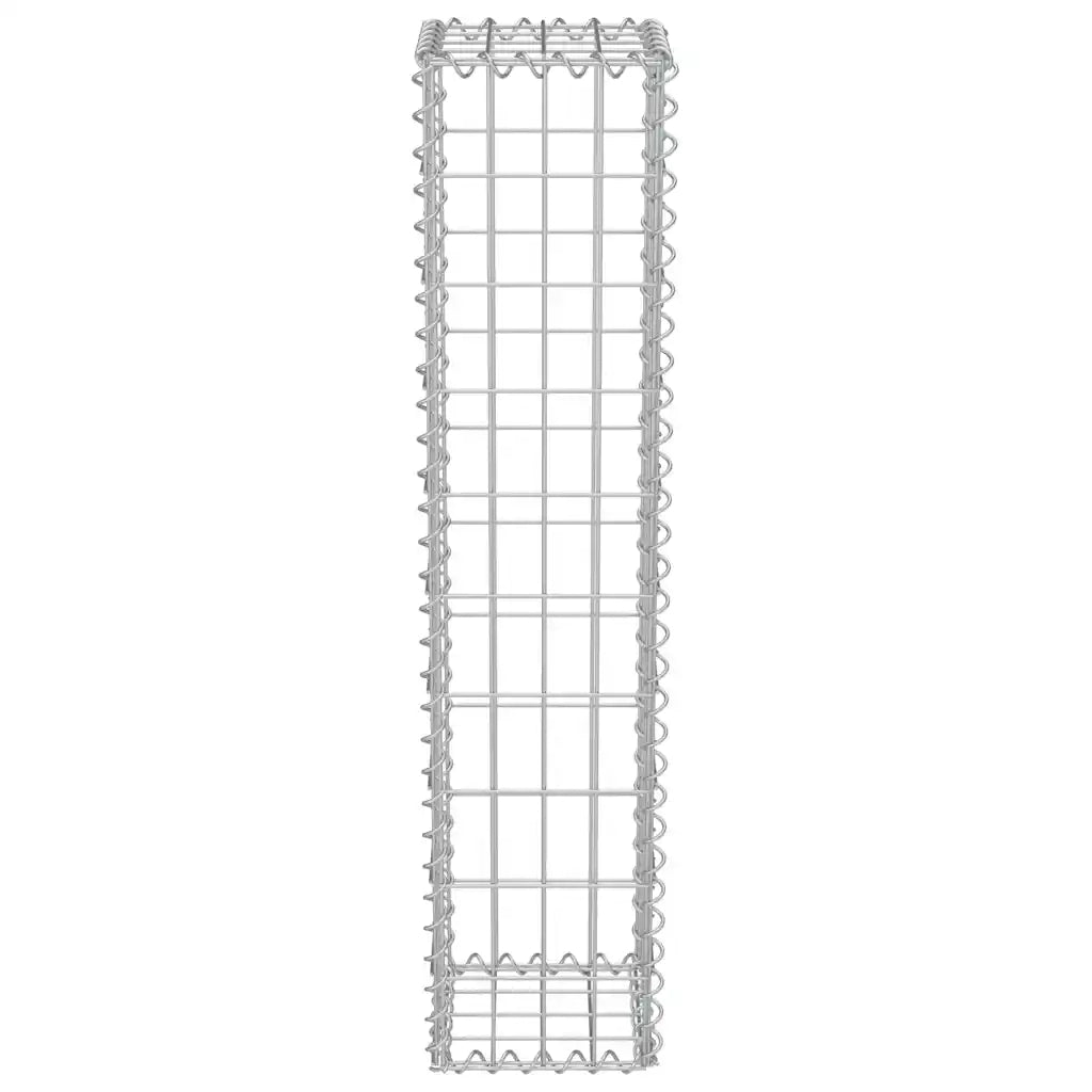 Gabbione in Acciaio Zincato 20 x 20 x 100 cm 143575
