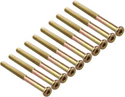 Viti interni a testa quadrata 10 pezzi - Lunghezza 100 mm - Diametro 8 mm - Torsione 1,25 mm - Verniciato - Resistente alla corrosione - Viti