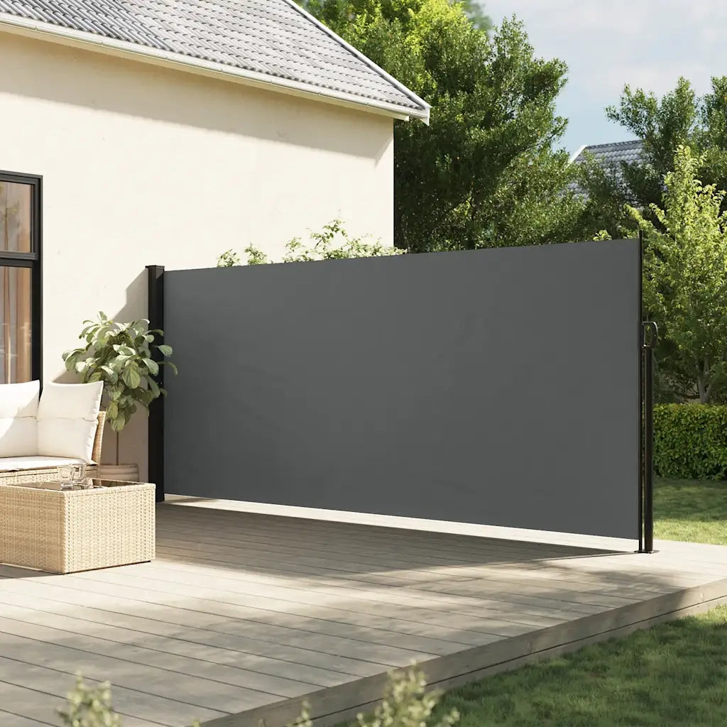 Tenda da sole laterale retrattile antracite 180x300 cm 4004353