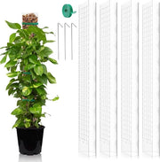 Aiuto alla respirazione per Monstera - 4 pezzi 61 cm steli in plastica per piante da interni bianche.