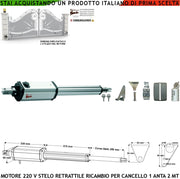 Motore Elettromeccanico 230 V Cancello Elettrico Stelo Retrattile Corsa 300 mm Anta Battente 2 Metri Spinta 250 Kg Sblocco a Chiave Ricambio Universale Securvera Completo di Staffe Bulloni