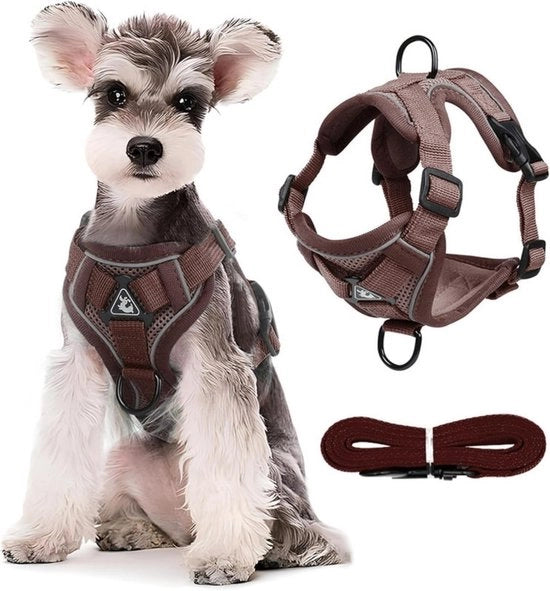 Impacco e set di cinghie - Raddrizzatore a tre lati - 2 clip per cinghie - Cinghia per animali domestici regolabile - Giacca imbottita - Materiali anti-escapato morbidi per animali domestici - Anti-asfissia - Per cani piccoli e medi - XL