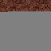 Tropical D-50 Plus Flakes - mangime in fiocchi per Discus Formato: 1000 ml