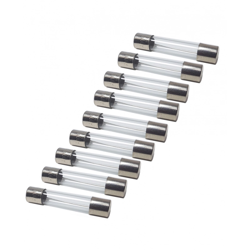 FUSIBILE VETRO 2AMP. 5X20 GLASS FUSES 2 AMP