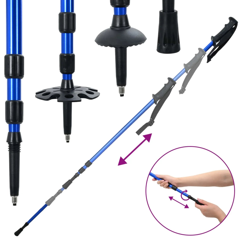 Racchette da neve 3 in 1 con bastoni da trekking Blu e Nero CFW8951893