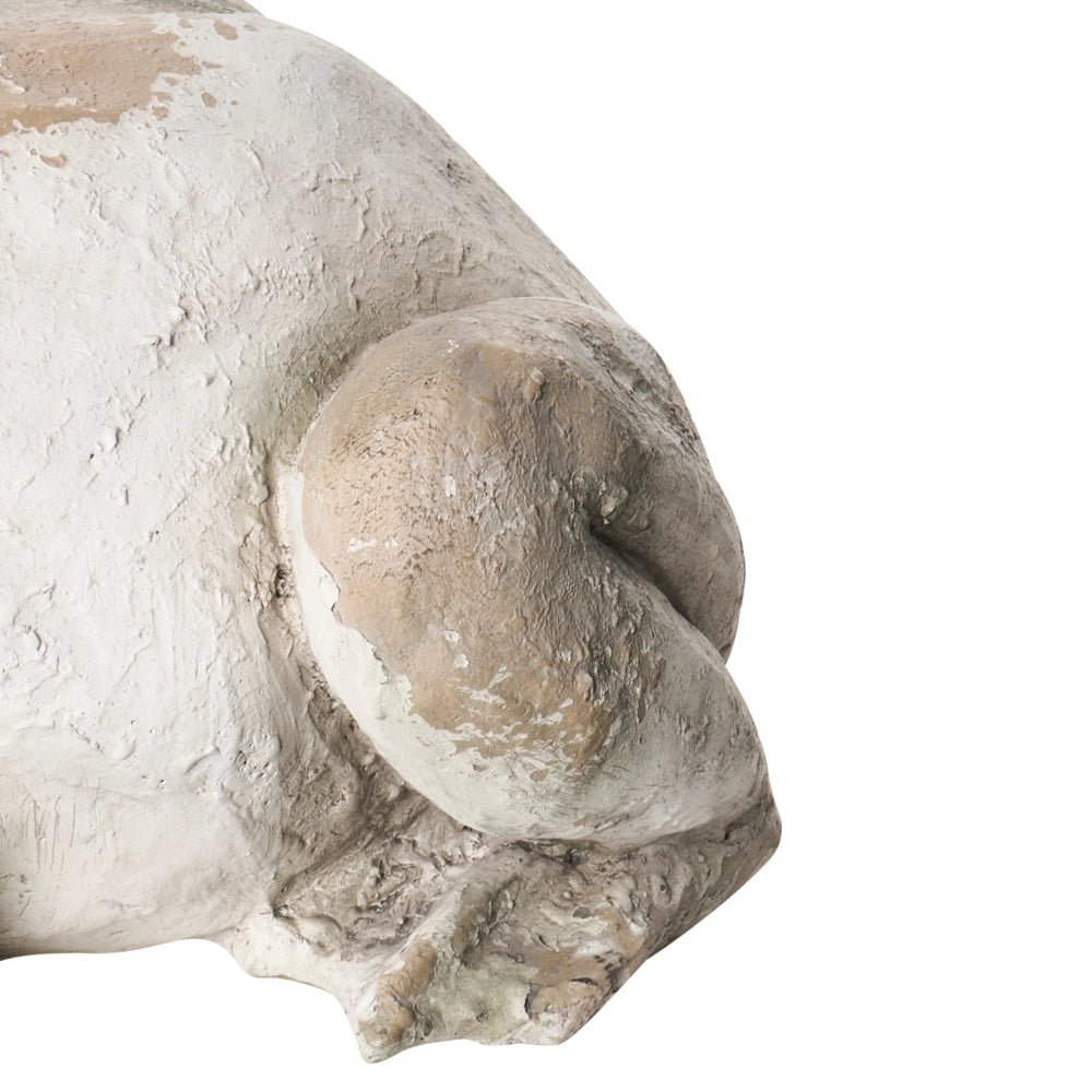 Statuetta decorativa da giardino rana in MgO beige 36 x 50 x 23 cm elemento decorativo per giardino terrazza e patio
