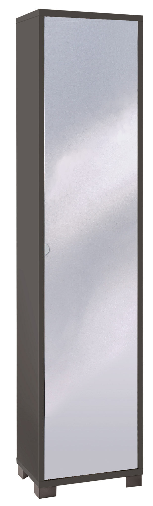 Armadio 1 Anta con Specchio 43x190x29 cm Titanio