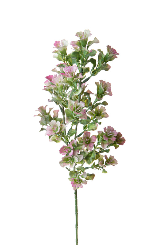 Set 8 Verde Ornamentale 63 cm